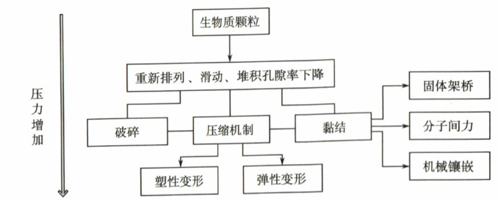 生物質(zhì)成型過程中作用力的形成過程及機(jī)制 生物質(zhì)成型過程中作用力的形成過程及機(jī)制
