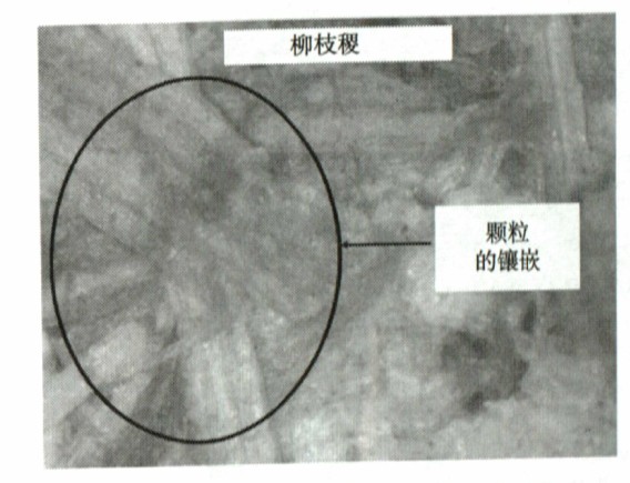 柳枝壓制成生物質(zhì)顆粒燃料光學(xué)顯微照片 柳枝壓制成生物質(zhì)顆粒燃料光學(xué)顯微照片