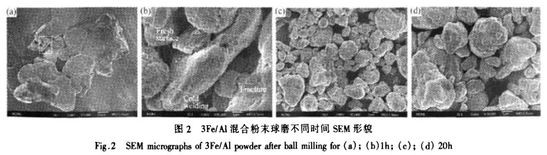 3Fe-Al混合粉末球磨不同時間SEM形貌 3Fe-Al混合粉末球磨不同時間SEM形貌