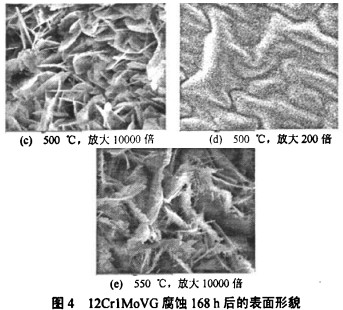生物質(zhì)鍋爐 生物質(zhì)鍋爐