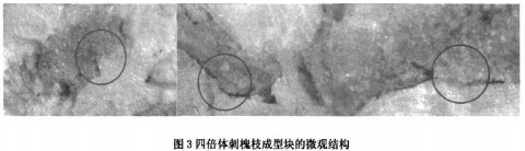 顆粒機秸稈壓塊機 顆粒機秸稈壓塊機
