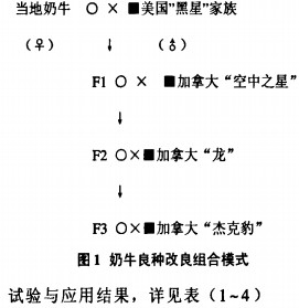 飼料顆粒機(jī)秸稈壓塊機(jī) 飼料顆粒機(jī)秸稈壓塊機(jī)