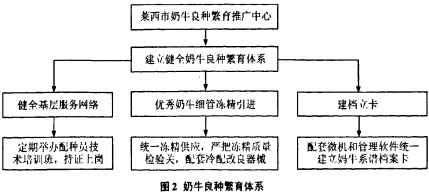 飼料顆粒機(jī)秸稈壓塊機(jī) 飼料顆粒機(jī)秸稈壓塊機(jī)